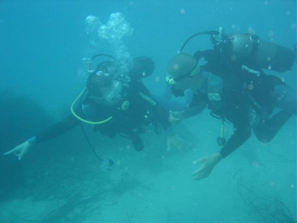 Vlore, ofroj cader 1.000 Leke/nata (Jal,himare)